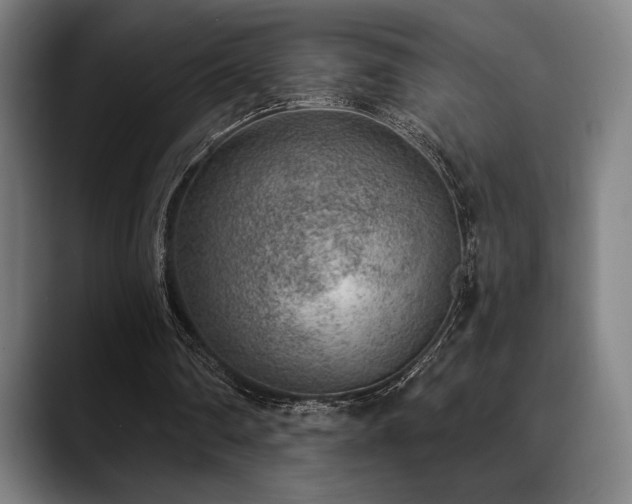 X0000089340290200706151048