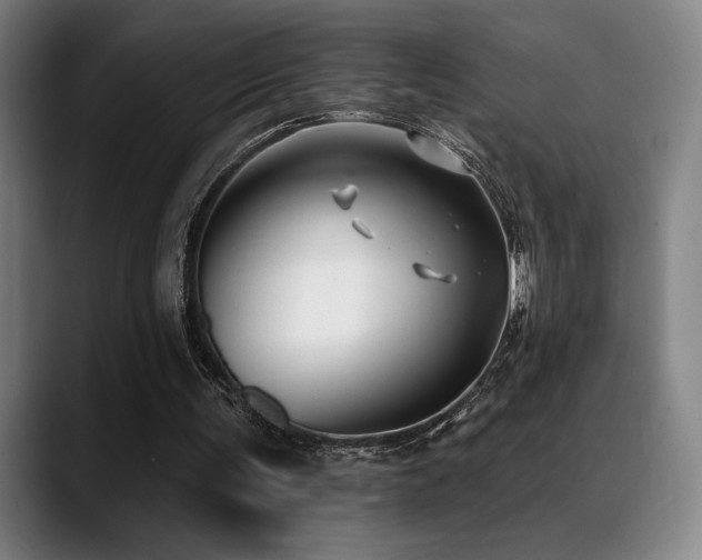 X0000089340291200706151048