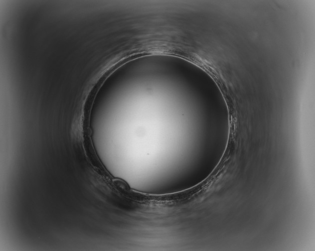 X0000089340292200706151048
