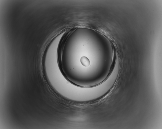 X0000089340293200706151048