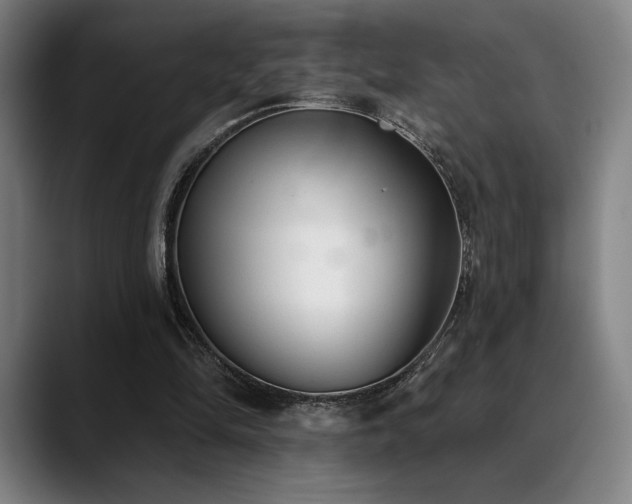 X0000089340294200706151048