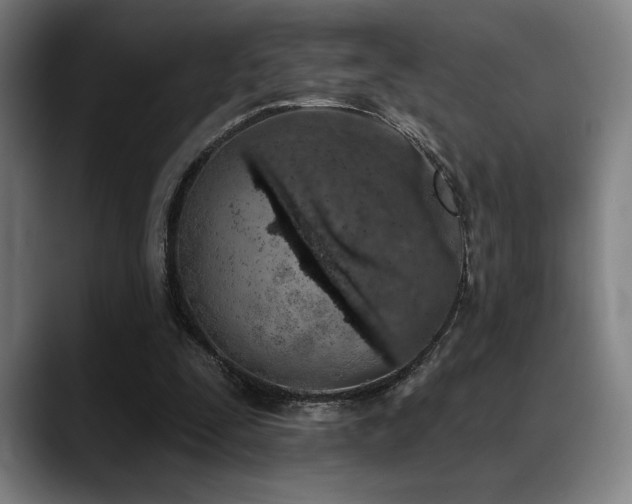 X0000089340295200706151048