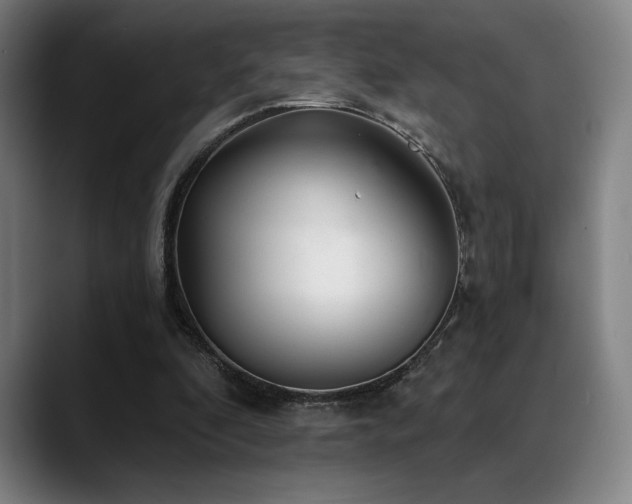 X0000089340296200706151048