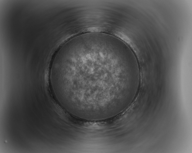 X0000089340297200706151048