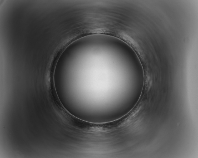 X0000089340298200706151048