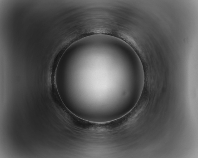 X0000089340299200706151048