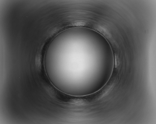 X0000089340300200706151048