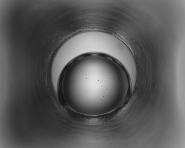X0000089340301200706151048