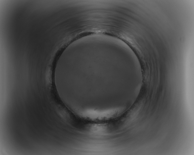 X0000089340303200706151048