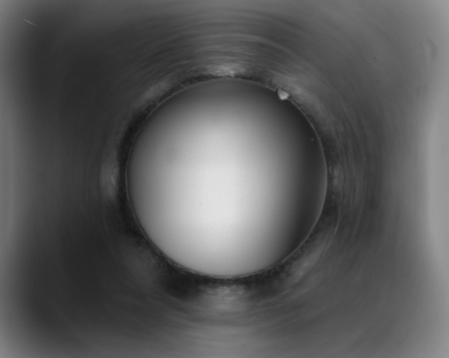 X0000089340304200706151048