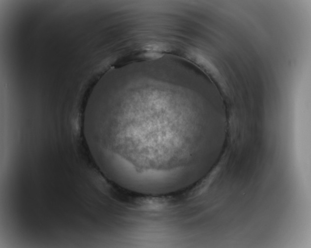 X0000089340305200706151048