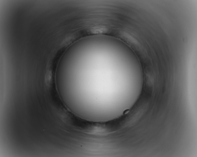 X0000089340308200706151048