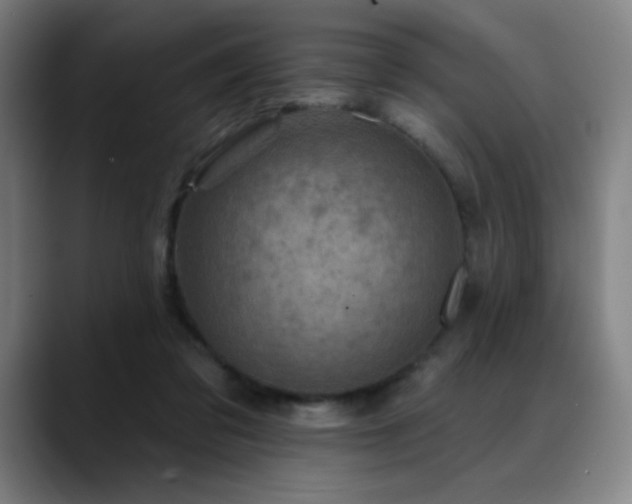 X0000089340309200706151048