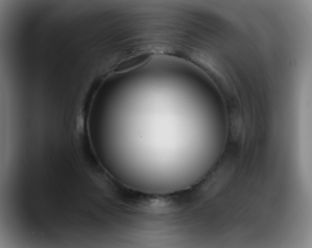 X0000089340310200706151048