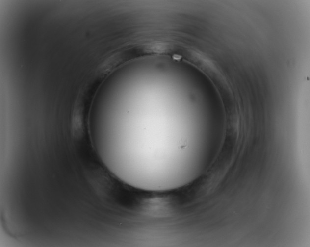 X0000089340312200706151048