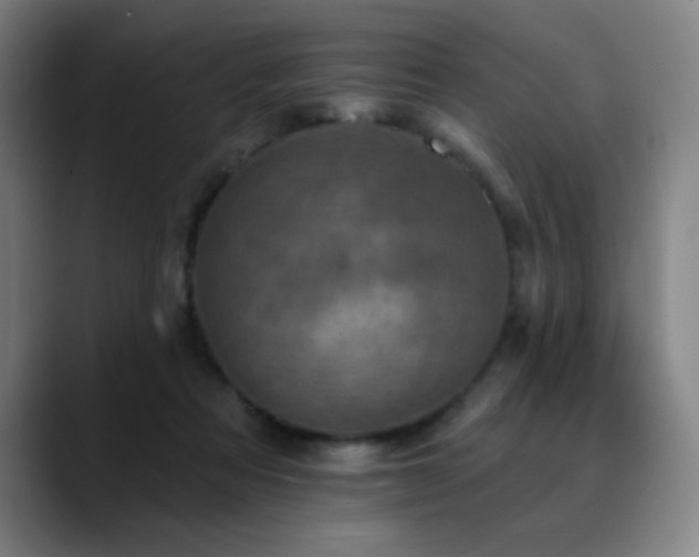 X0000089340313200706151048
