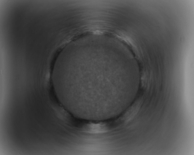X0000089340314200706151048