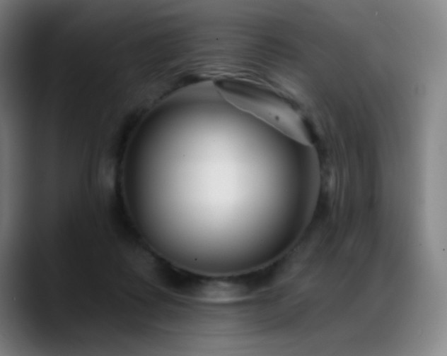 X0000089340315200706151048