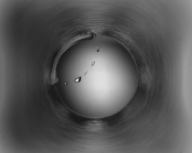 X0000089340316200706151048