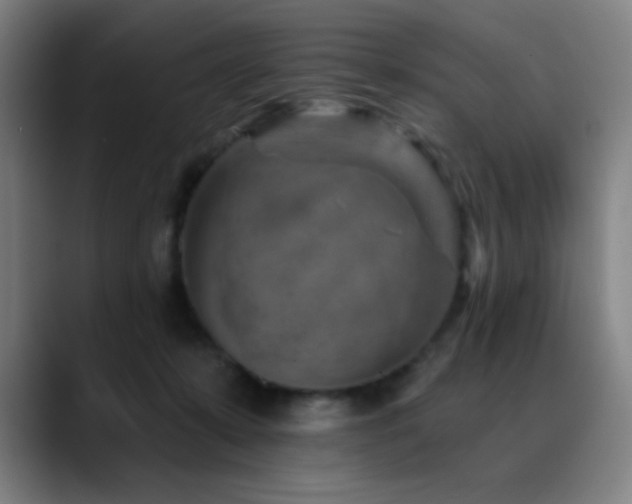 X0000089340319200706151048