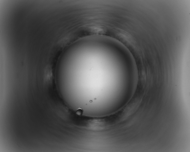 X0000089340320200706151048