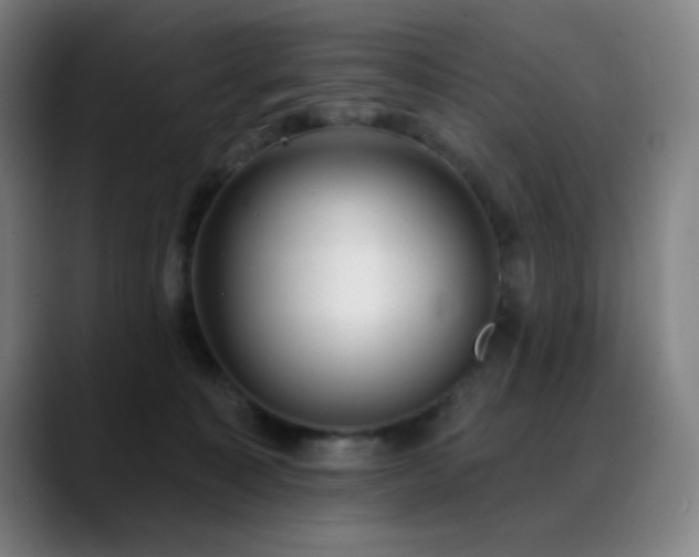 X0000089340323200706151048