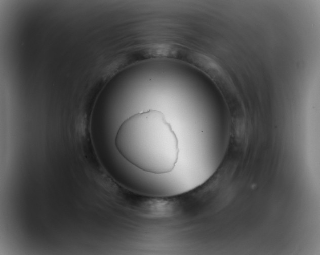 X0000089340326200706151048