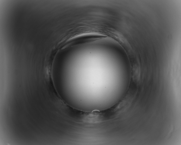 X0000089340329200706151048