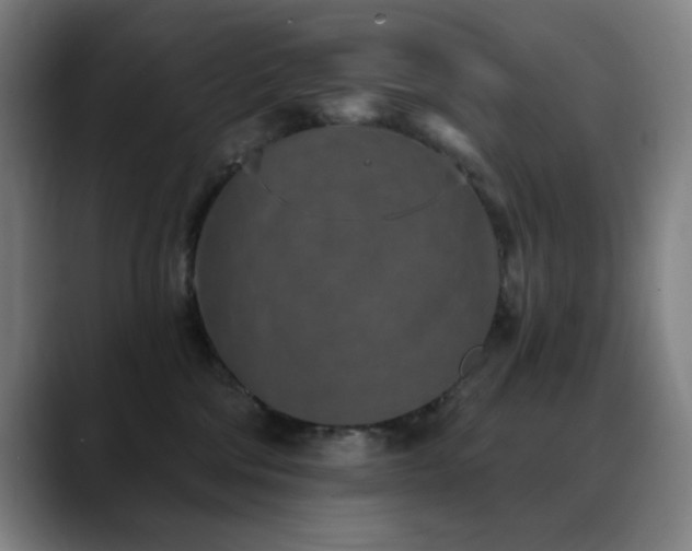 X0000089340330200706151048