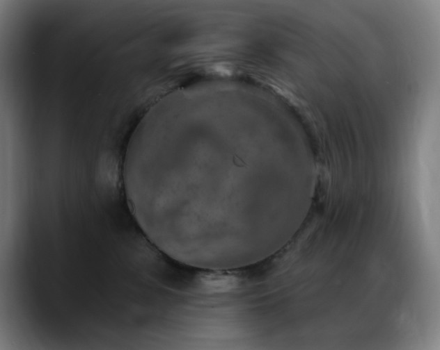 X0000089340331200706151048