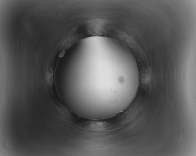 X0000089340332200706151048