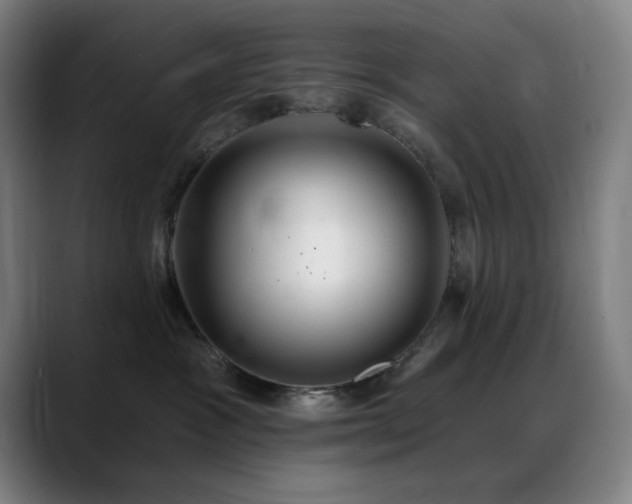 X0000089340333200706151048