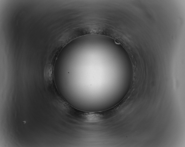 X0000089340336200706151048
