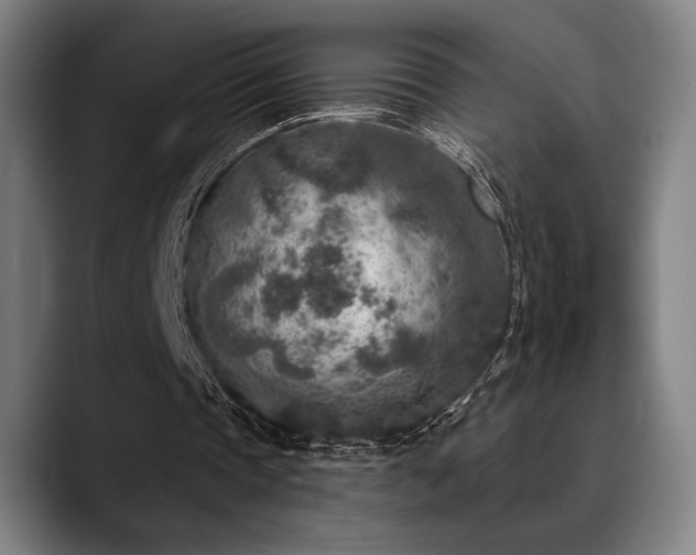 X0000089340337200706151047