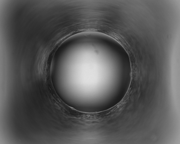 X0000089340338200706151047
