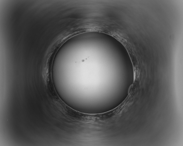 X0000089340339200706151047