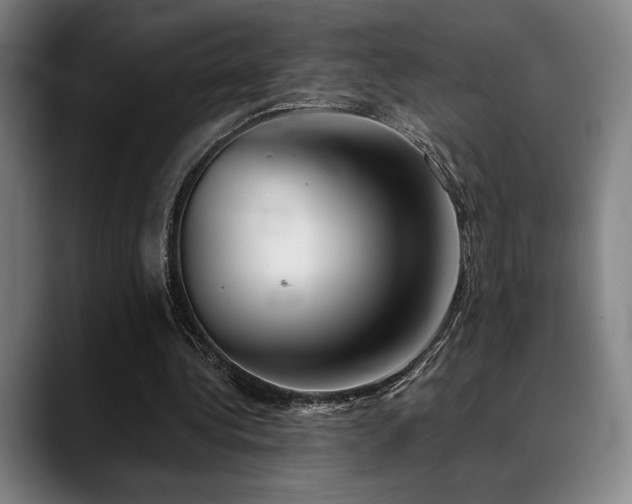 X0000089340340200706151047