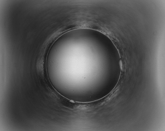 X0000089340341200706151047