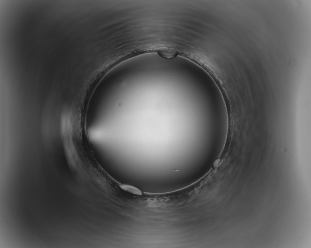 X0000089340345200706151047