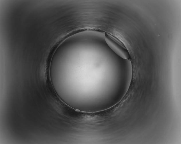 X0000089340346200706151047
