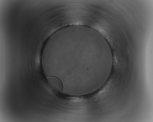 X0000089340347200706151047
