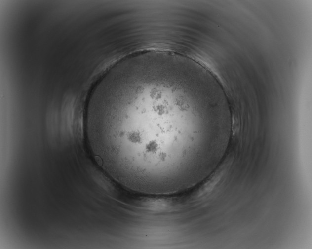 X0000089340349200706151047