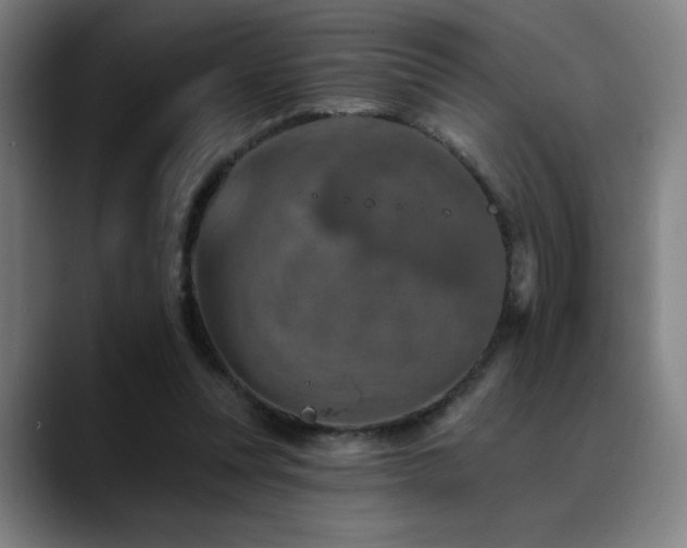X0000089340351200706151047