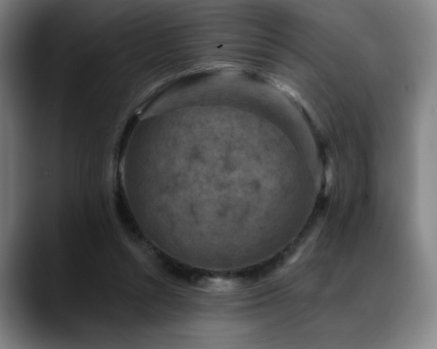 X0000089340352200706151047