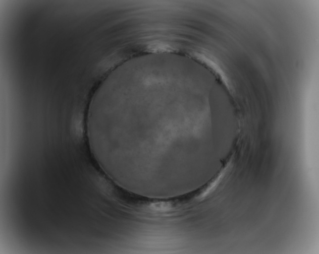 X0000089340353200706151047