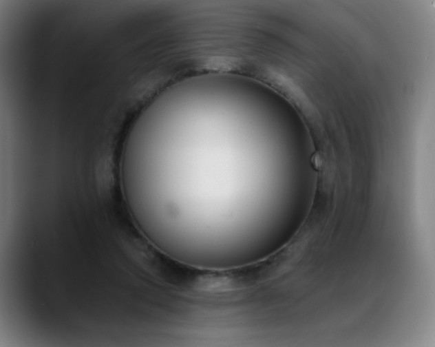 X0000089340354200706151047