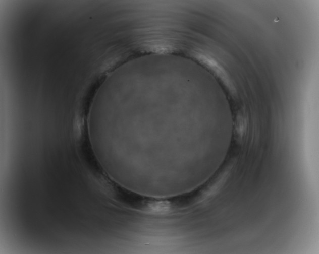 X0000089340355200706151047
