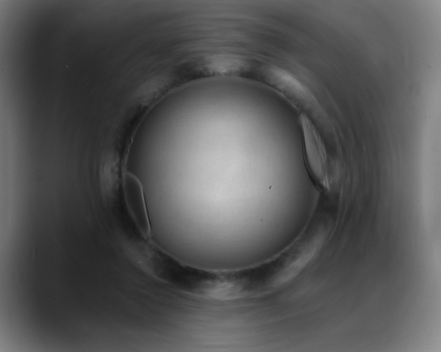 X0000089340356200706151047