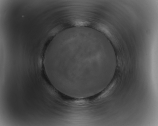 X0000089340357200706151047