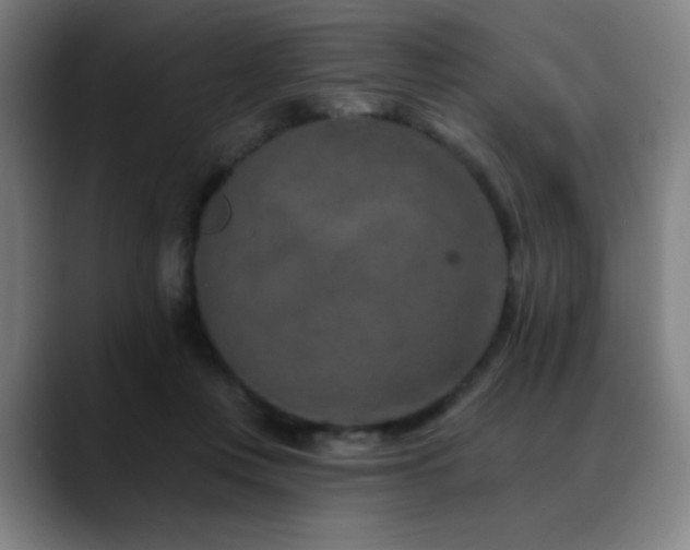 X0000089340359200706151047